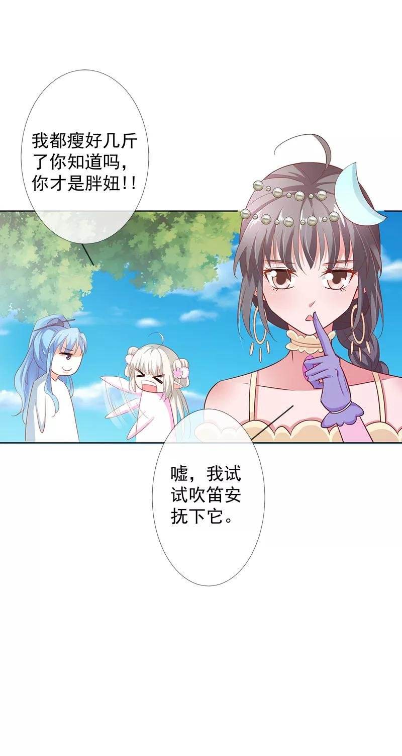 第3季65话 金翅比翼鸟暴走