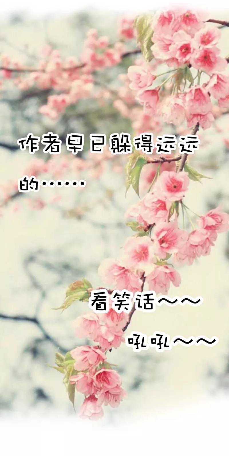 第27话 我控制不住我记几啊