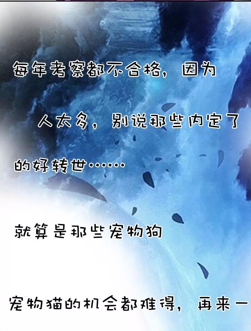 第4话 判官的大忽悠