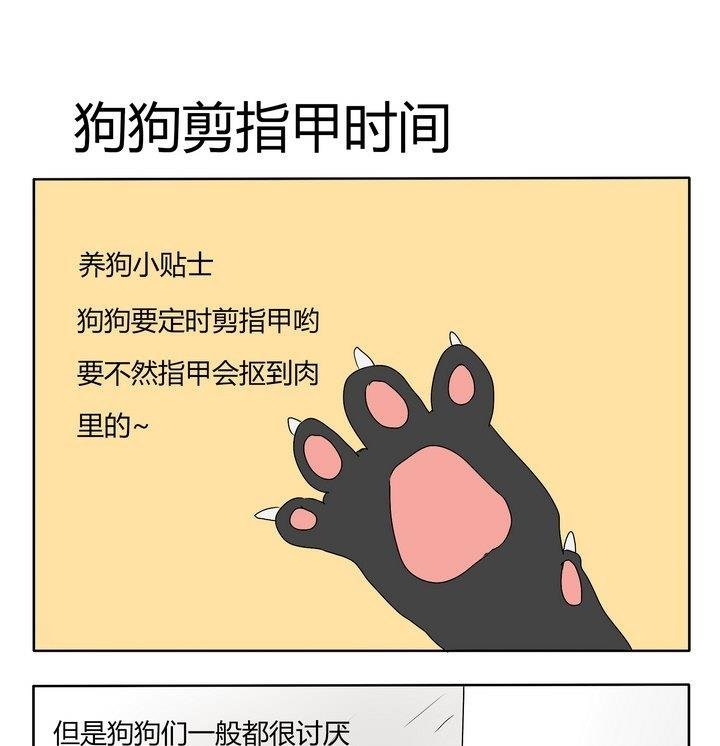 第173话 狗狗剪指甲时间