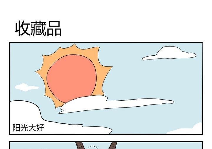 第22话 收藏品