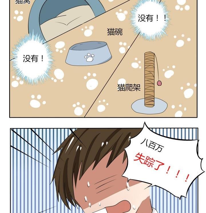 第51话 如何判定失踪