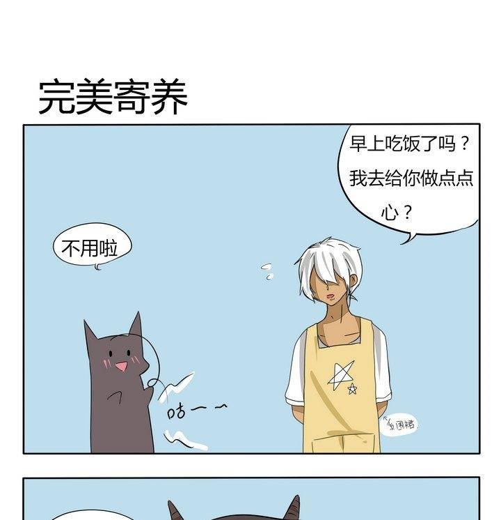 第57话 美好的早晨