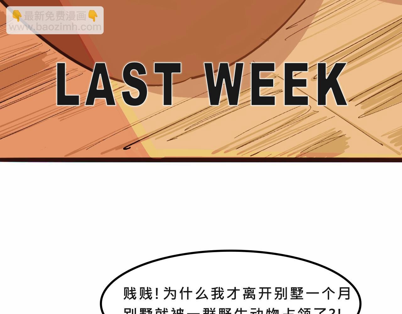 她们的自信无人可挡