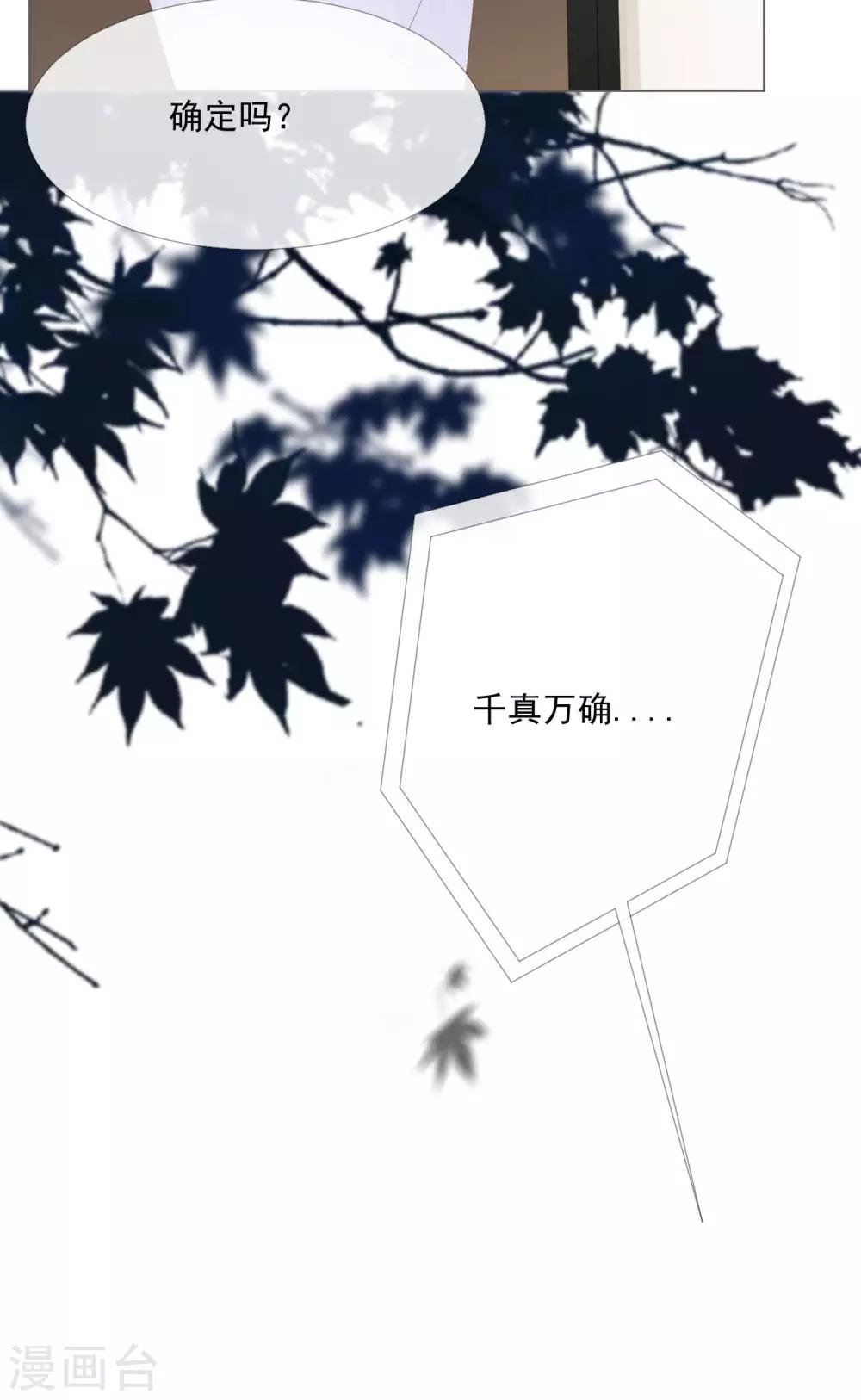 第10话 我们离婚吧