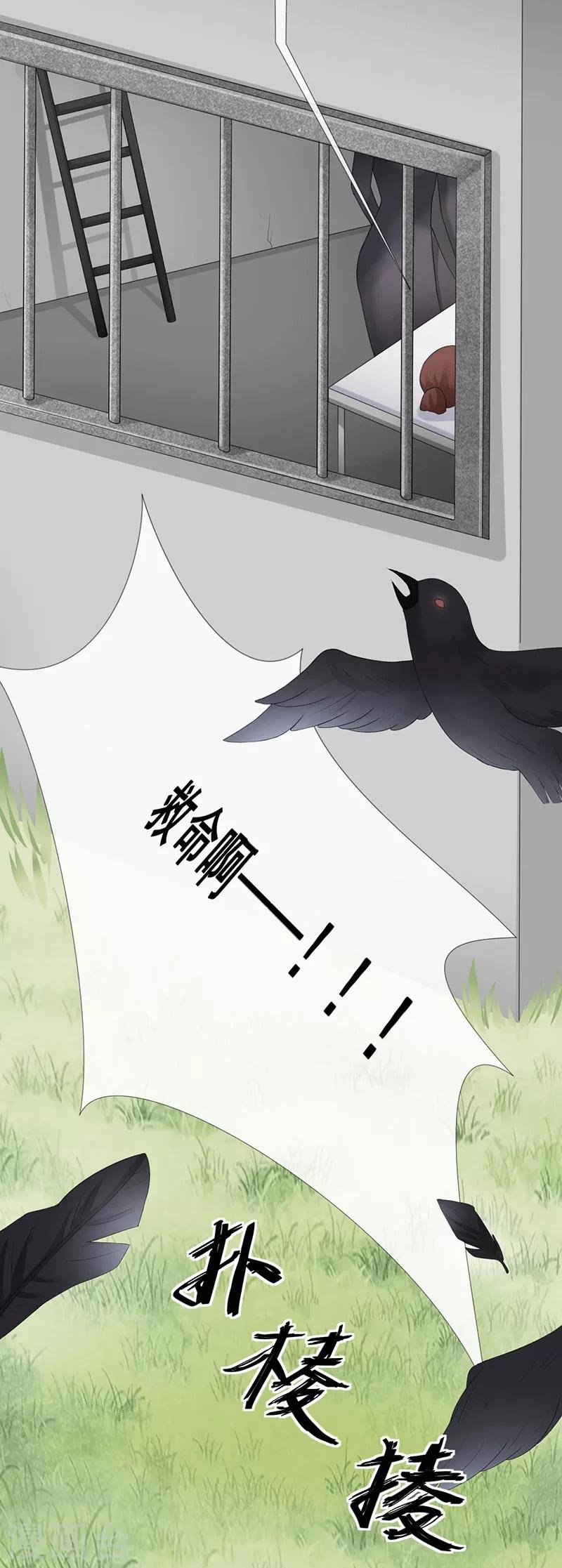 第19话 要你另一颗肾
