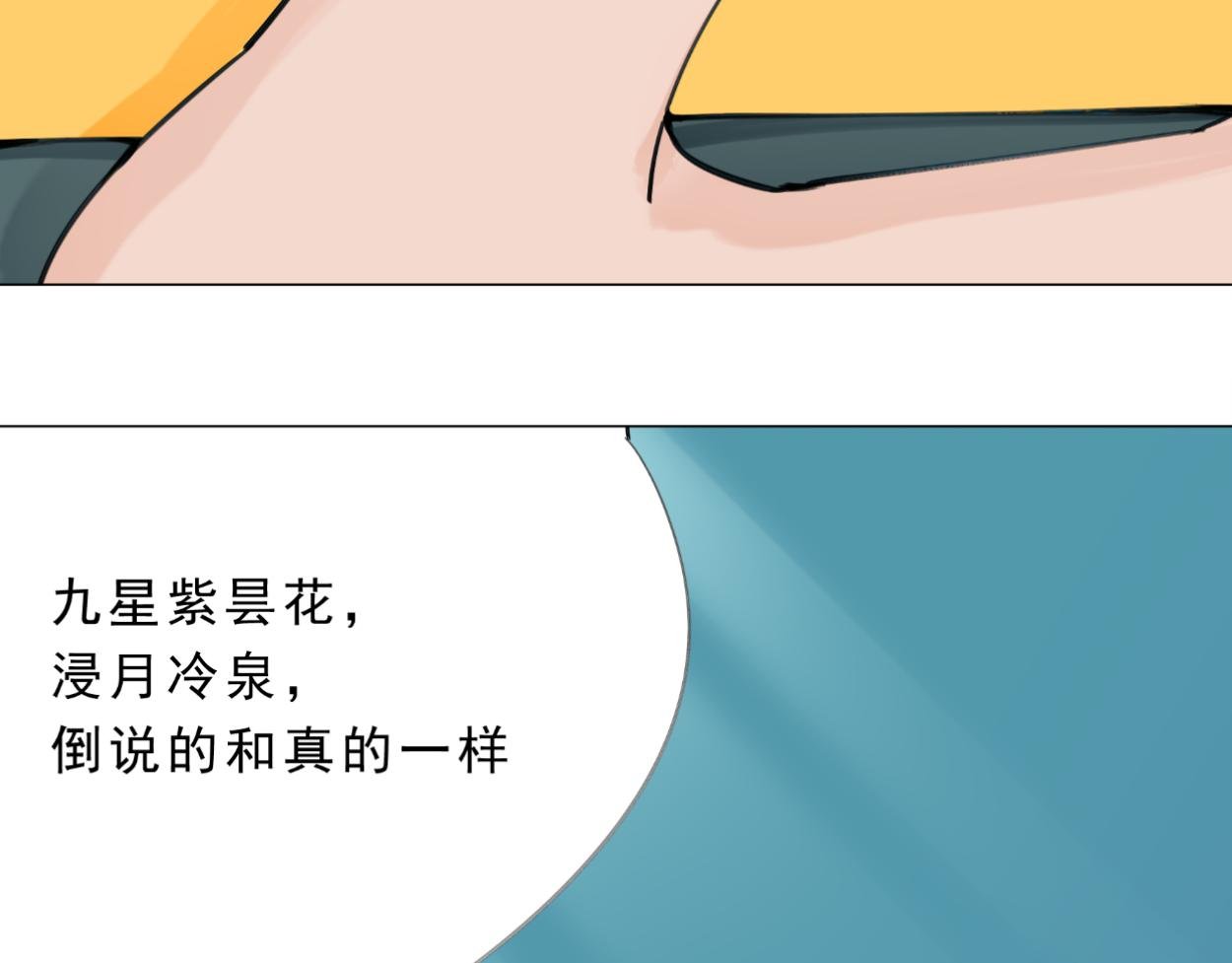 九星紫昙花·十二