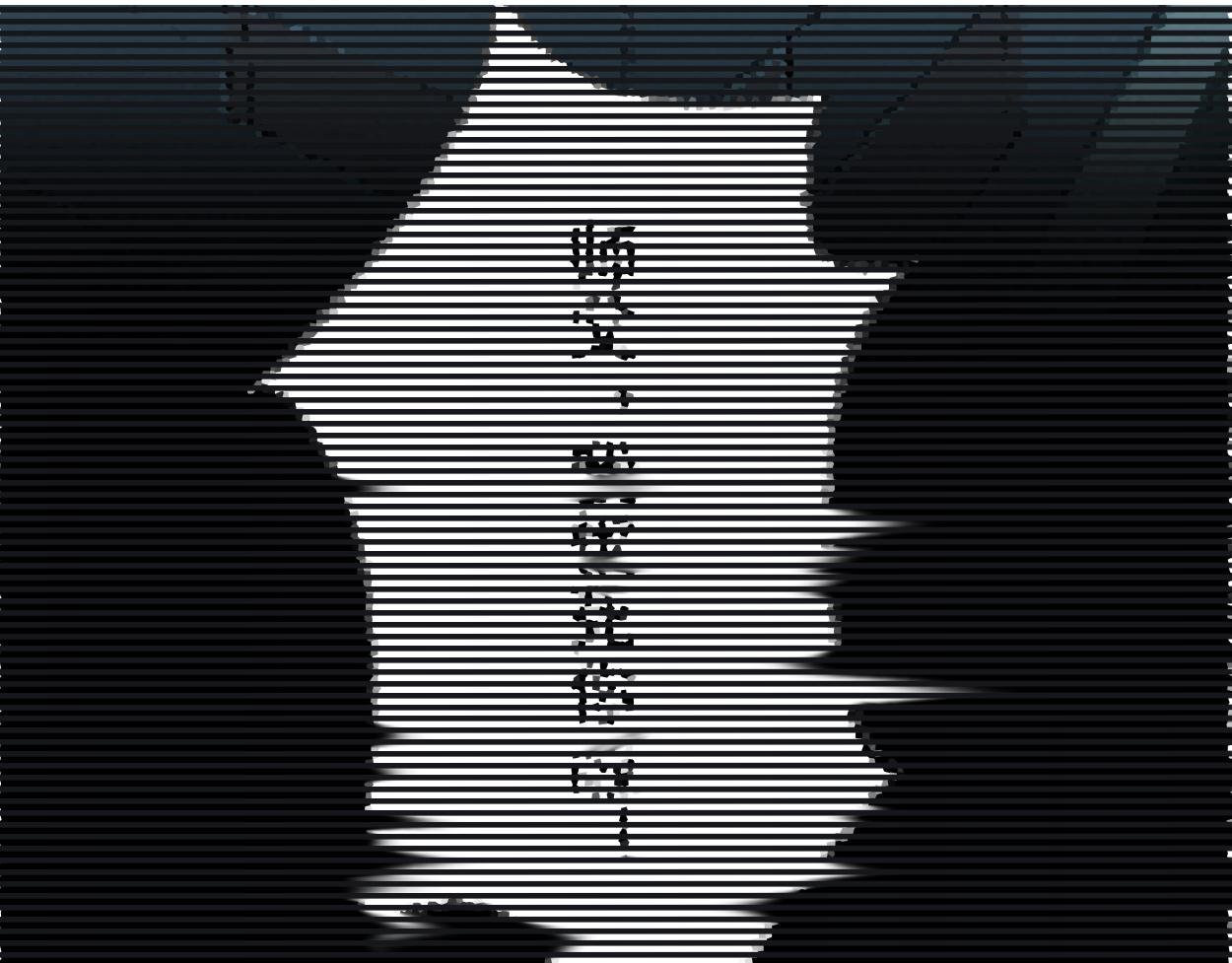 九星紫昙花·一