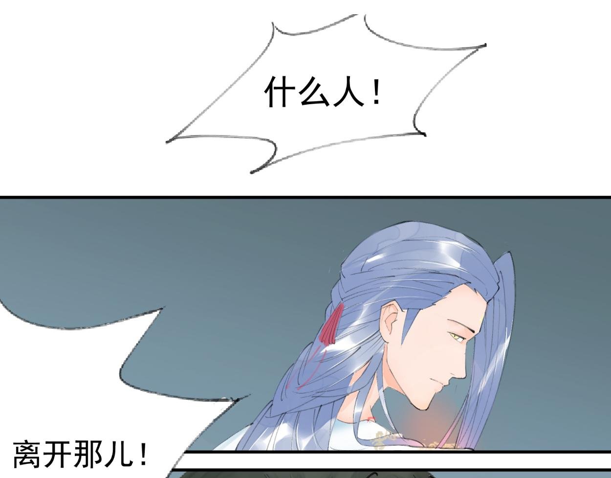 九星紫昙花·一