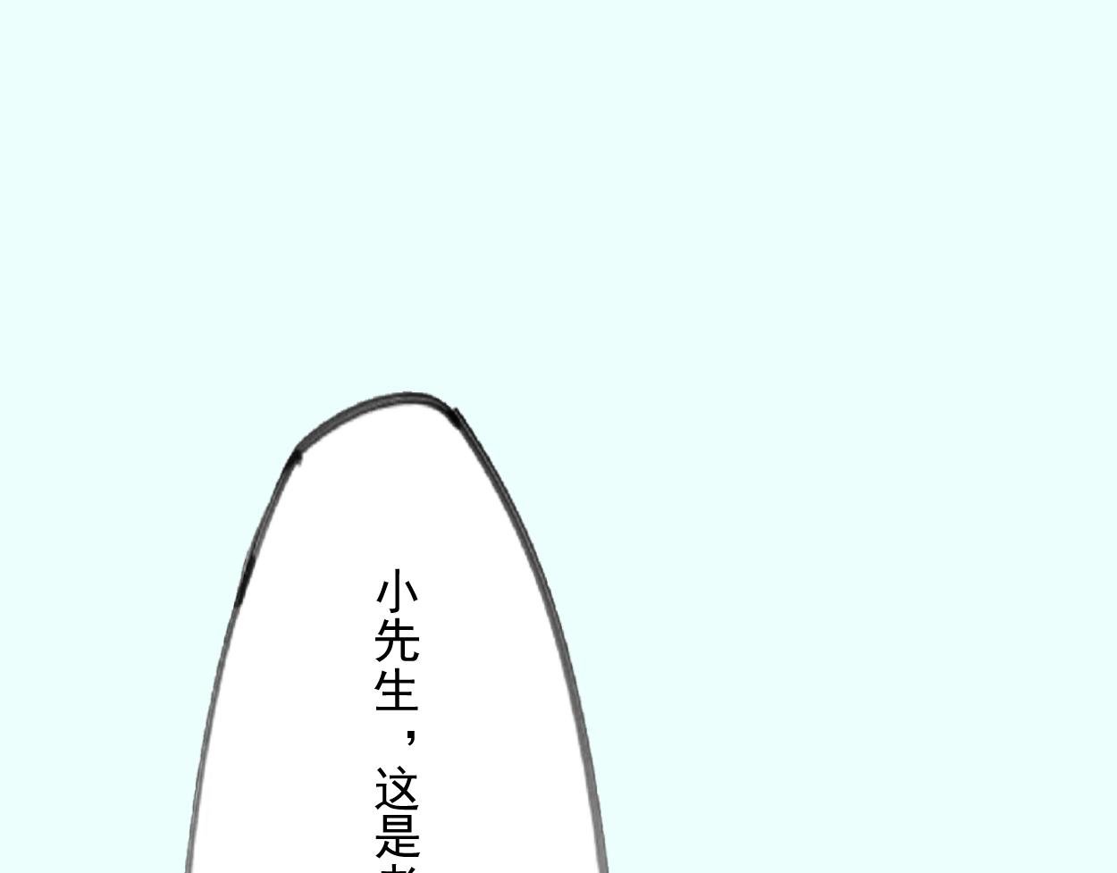 九星紫昙花·八