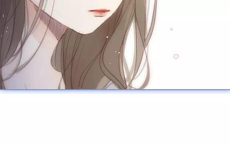 新作预告