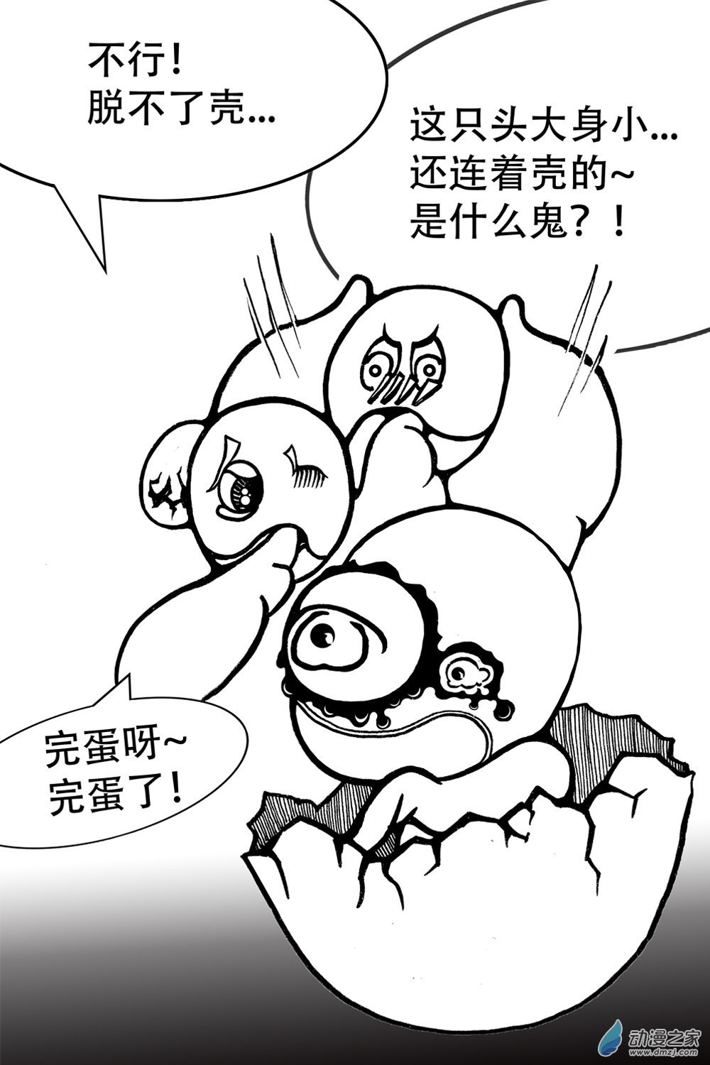 第05话 谁要完蛋（下）