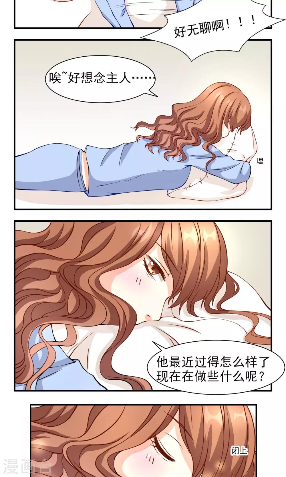 第11话 找主人去