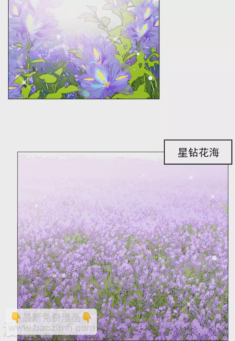 第135话 星钻1
