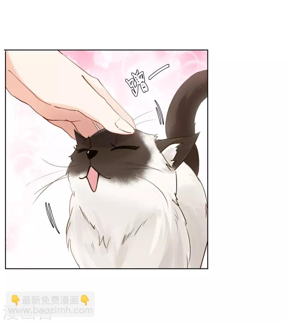 第4话2 归来