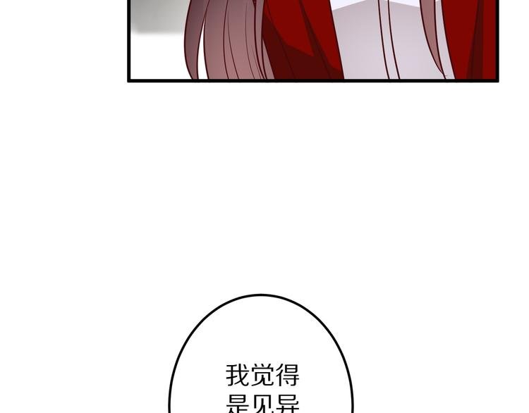 第14话 美女法医的真爱