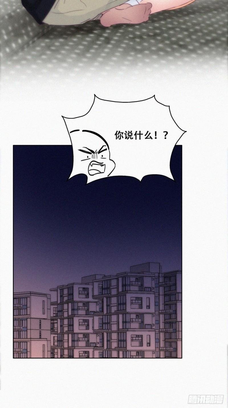 第217话 豆丁炸毛了