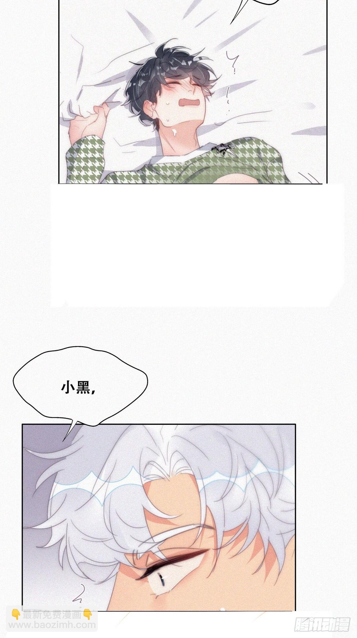 第二季 第37话 窝窝生气了
