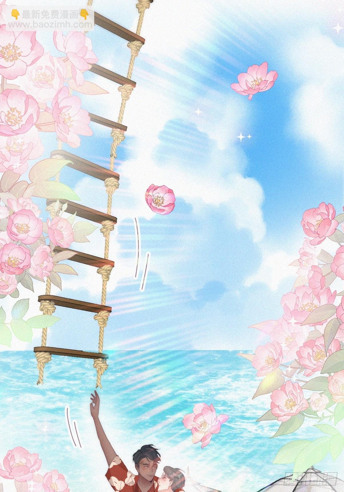 第二季 第41话 追来的小黑