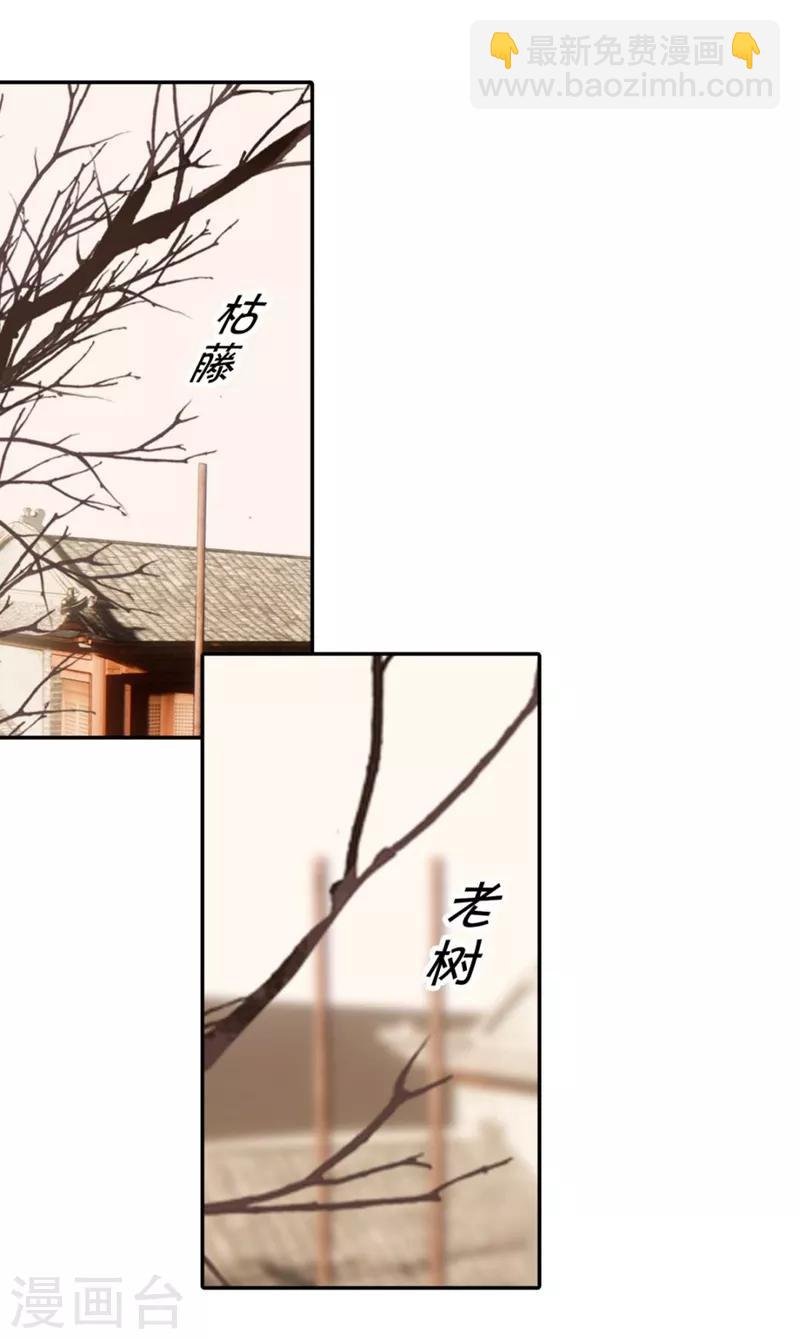 第6话 洞仙歌2