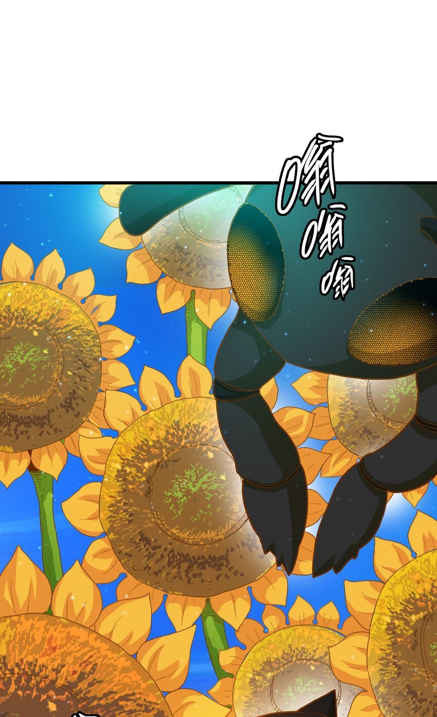 009 蜂鸟公会