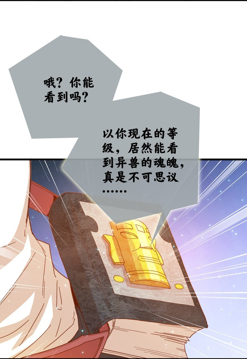 008 新的奖励