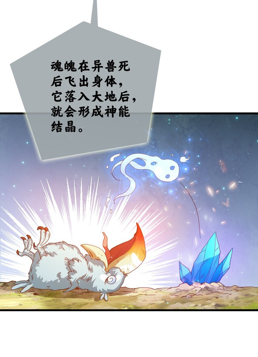 008 新的奖励