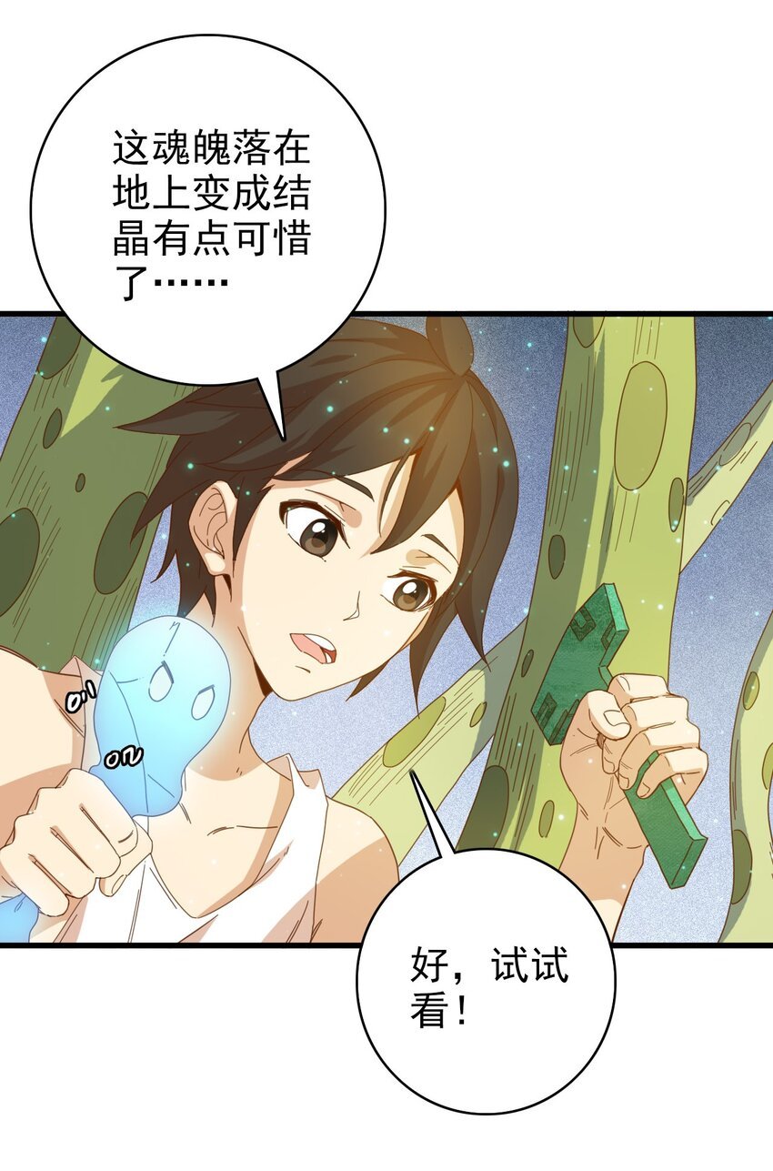 008 新的奖励