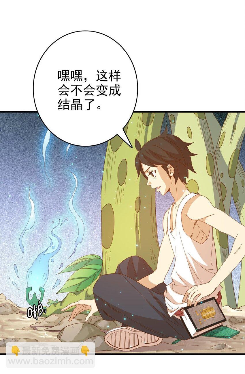 008 新的奖励