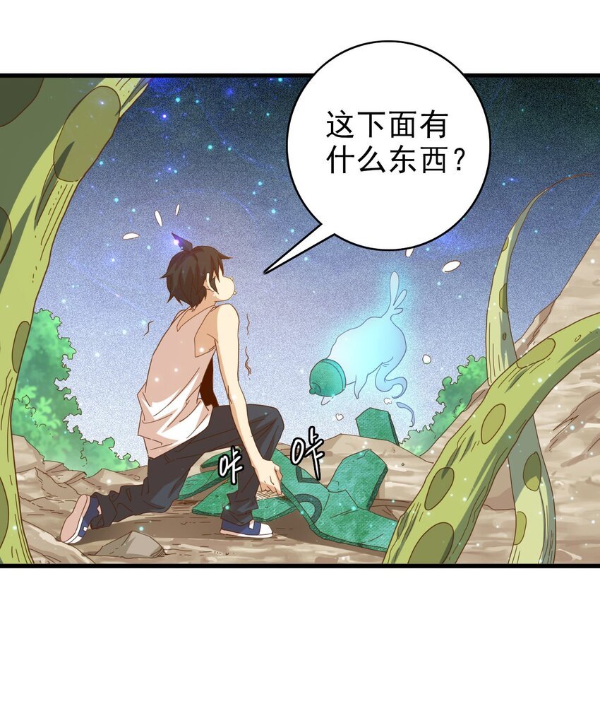 008 新的奖励
