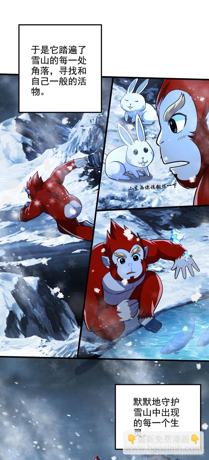 第212话 玲珑雪山的秘辛