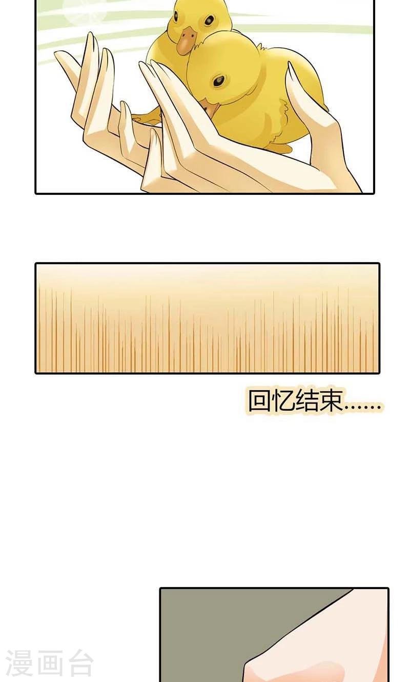 第4话 他爱上了别的姑娘