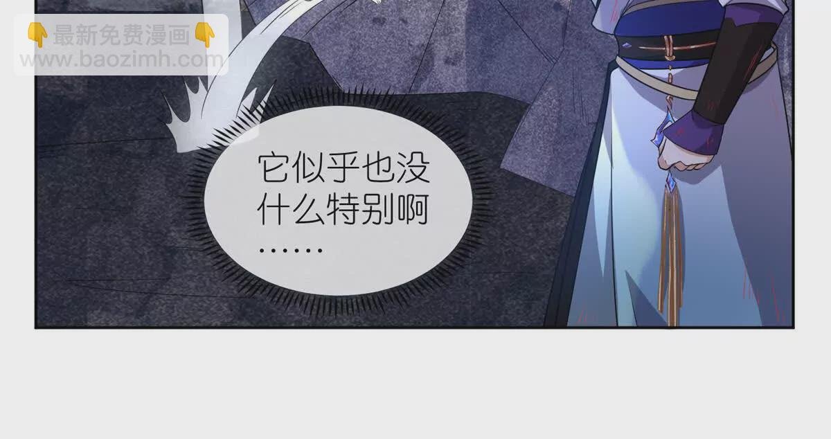 11 灵兽魔兔