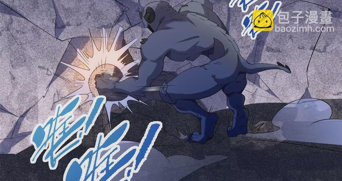 11 灵兽魔兔