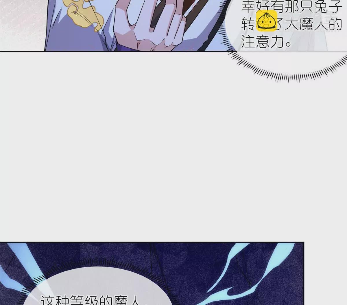 11 灵兽魔兔