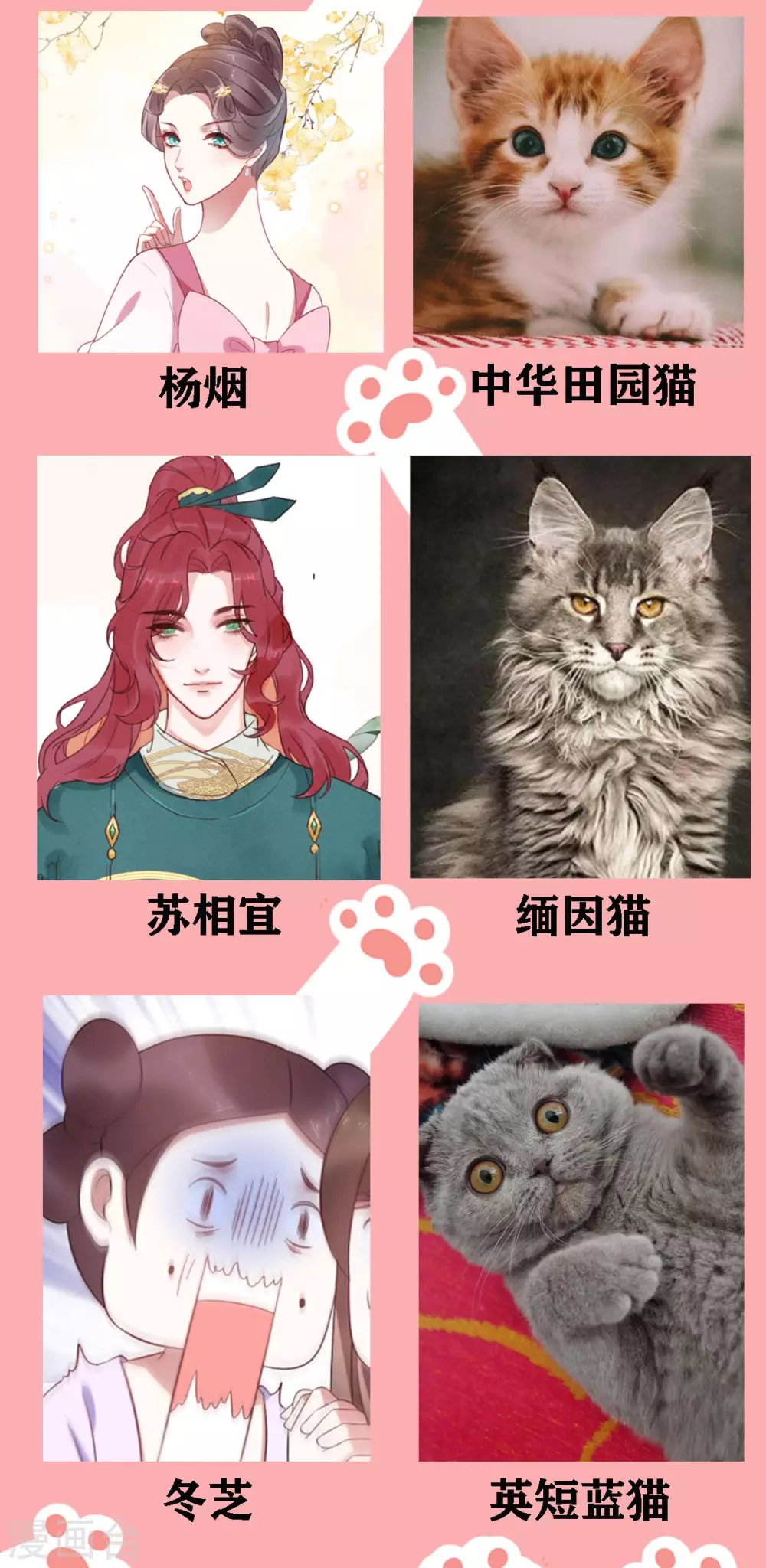 停更公告 喵喵喵！