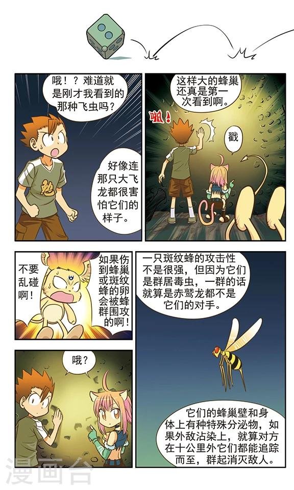 第7话 斑纹蜂对赤鹫龙