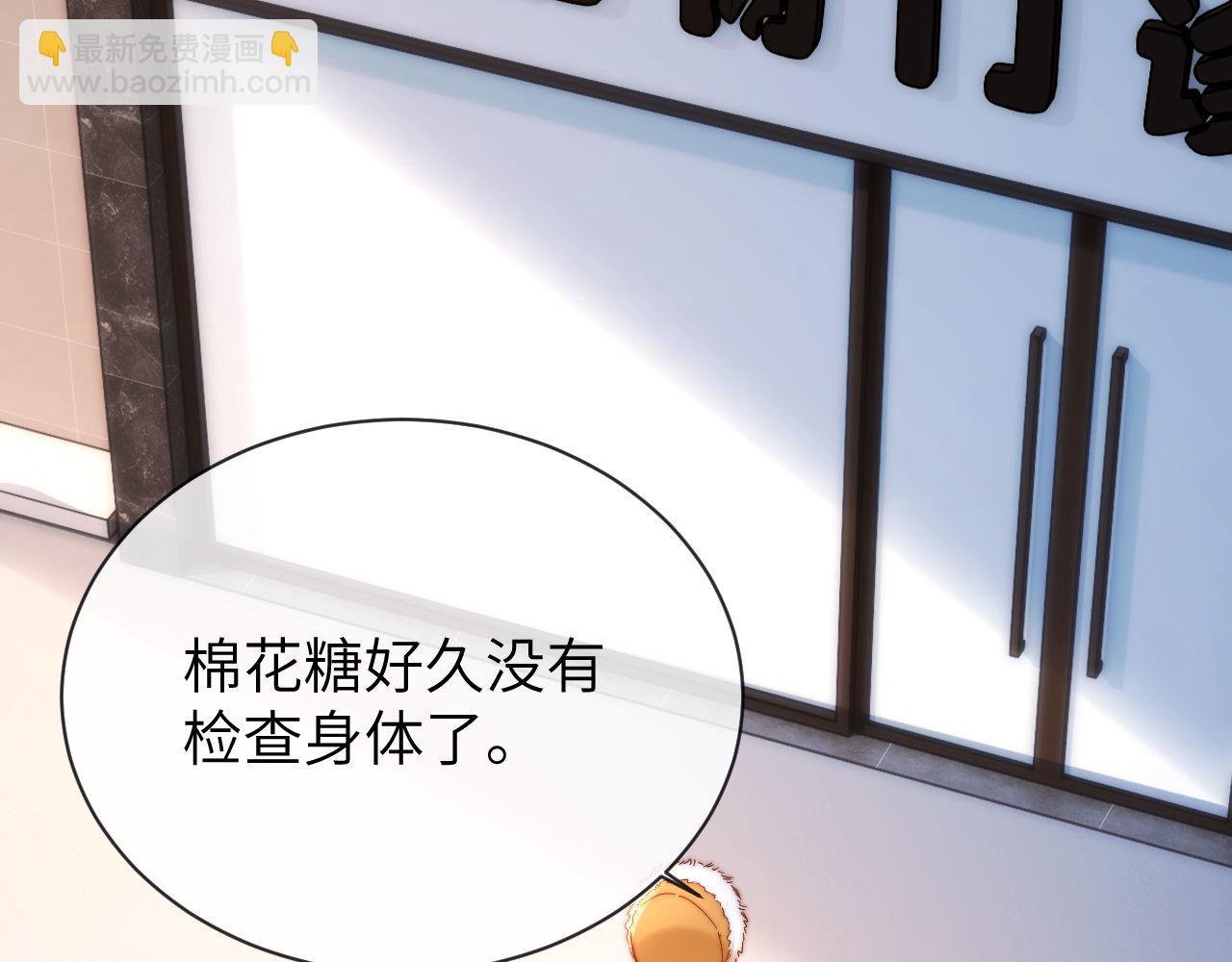 第49话 棉花糖走丢了？！