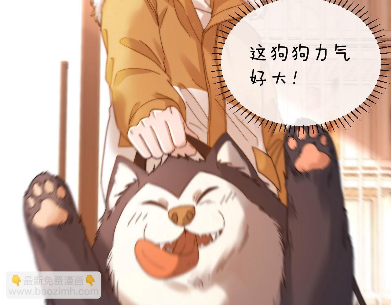 第49话 棉花糖走丢了？！