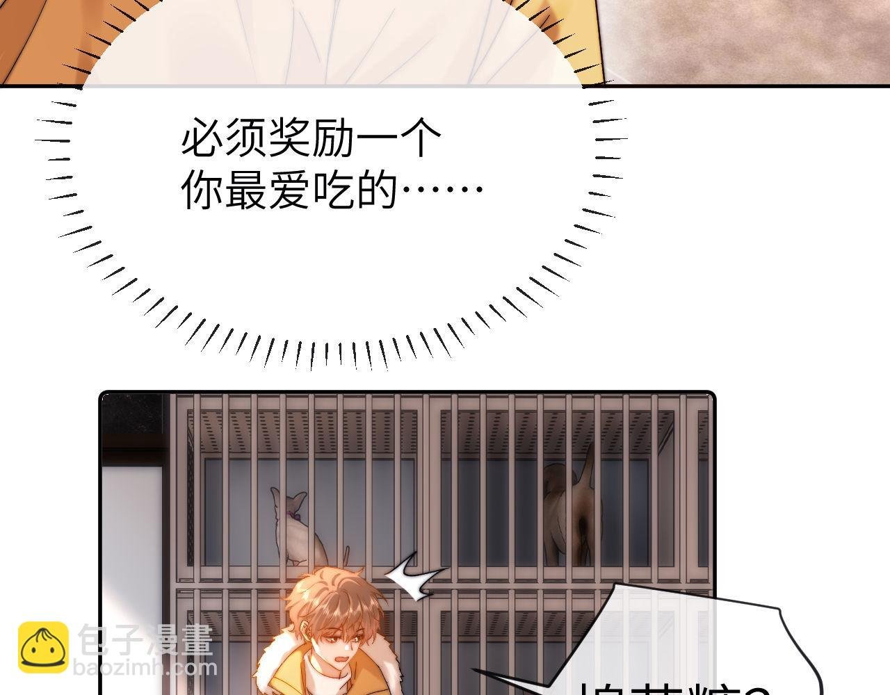 第49话 棉花糖走丢了？！
