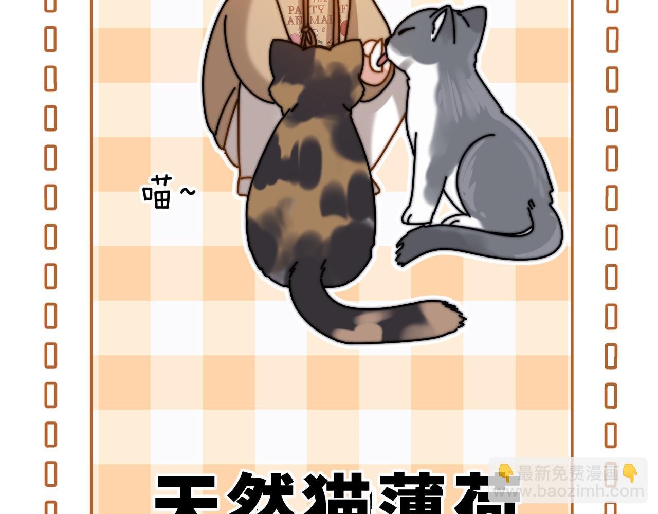 第61话 无法直白展示情感