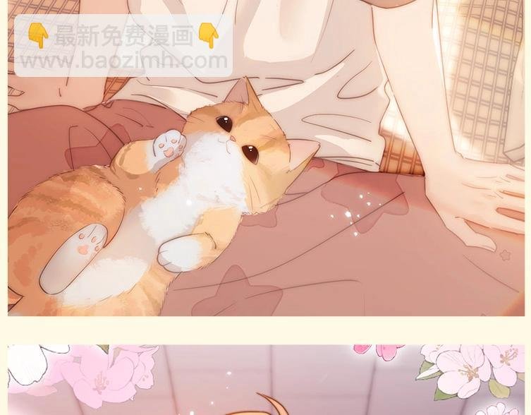 第3期 粉丝福利：高清无字壁纸
