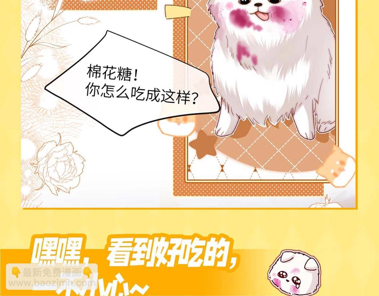 第9期 棉花糖的一天！