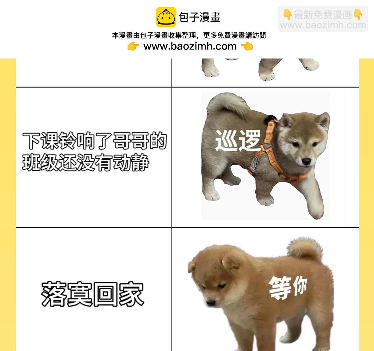 第32期 整活企划：来看一波烂梗~