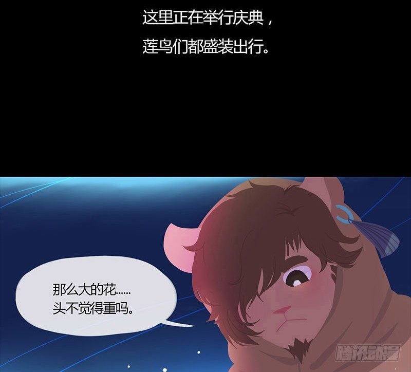 睡莲