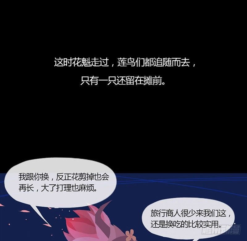睡莲