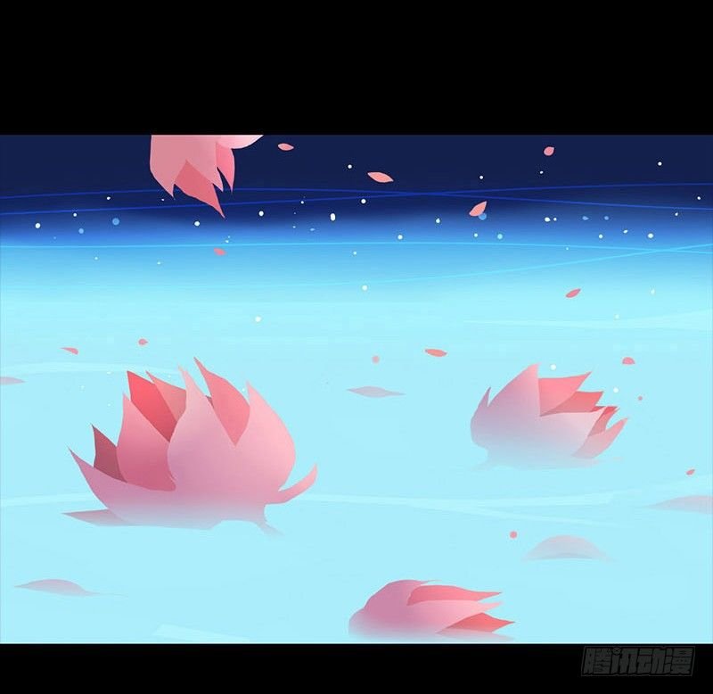 睡莲