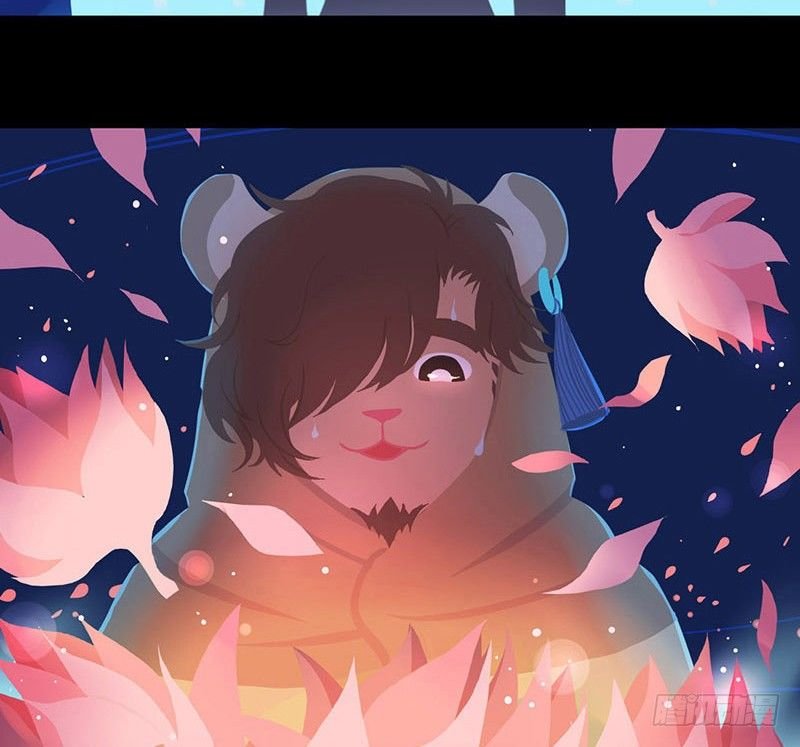 睡莲