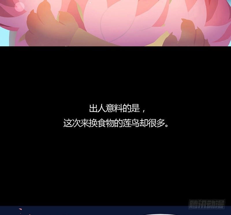睡莲