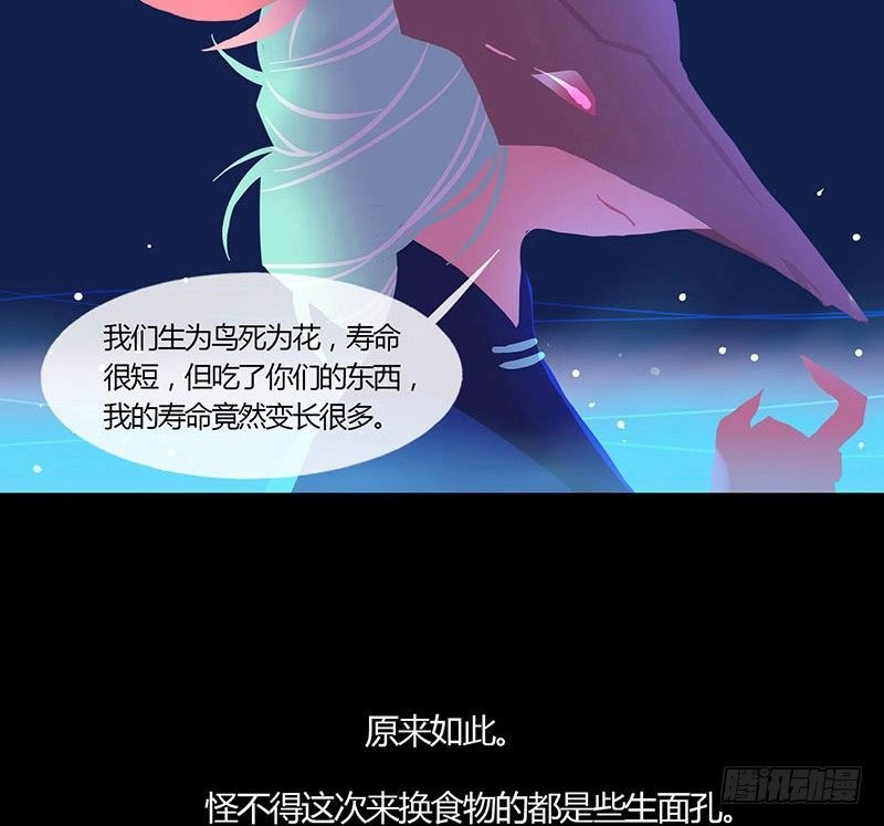 睡莲